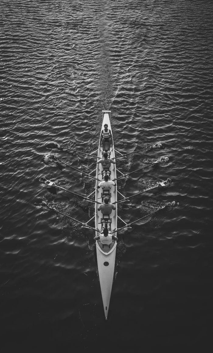 Team rowing together symbolising coordinated effort and strategy in growing a business online