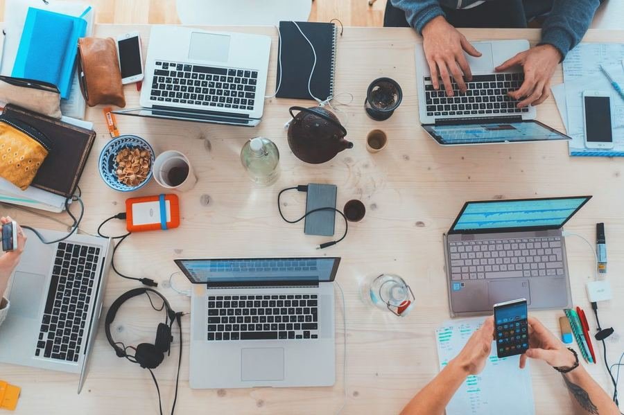 Digital team working on laptops collabourating on local SEO strategy for small businesses